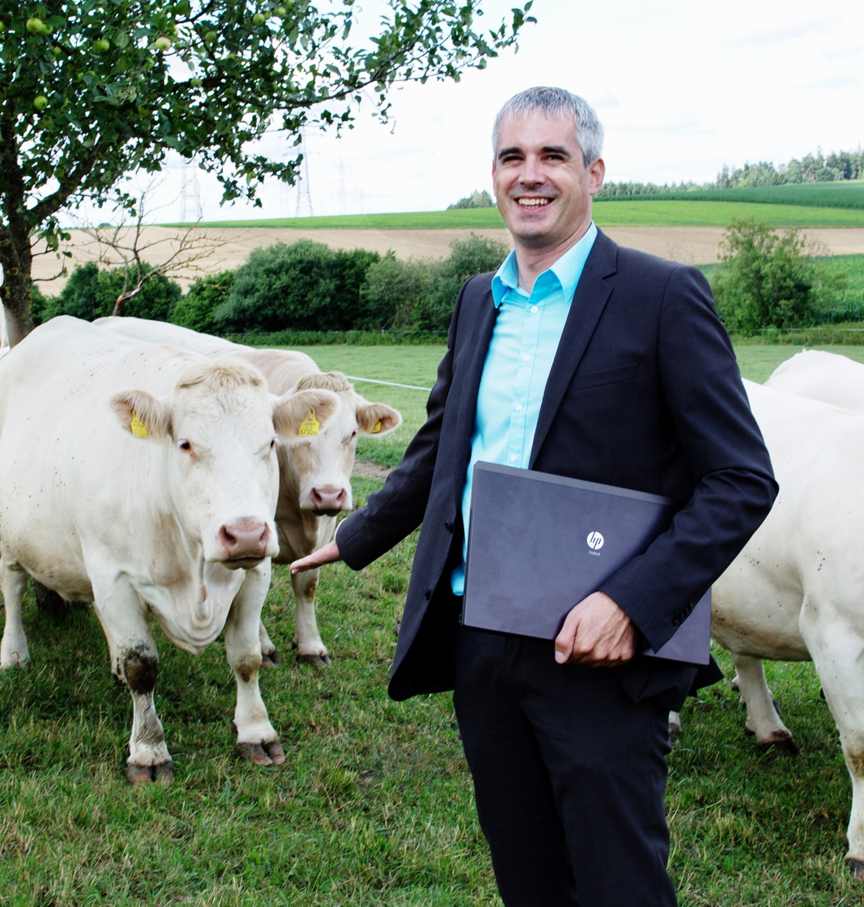 Obmann Werner Habermann mit seinen Kühen auf der Weide